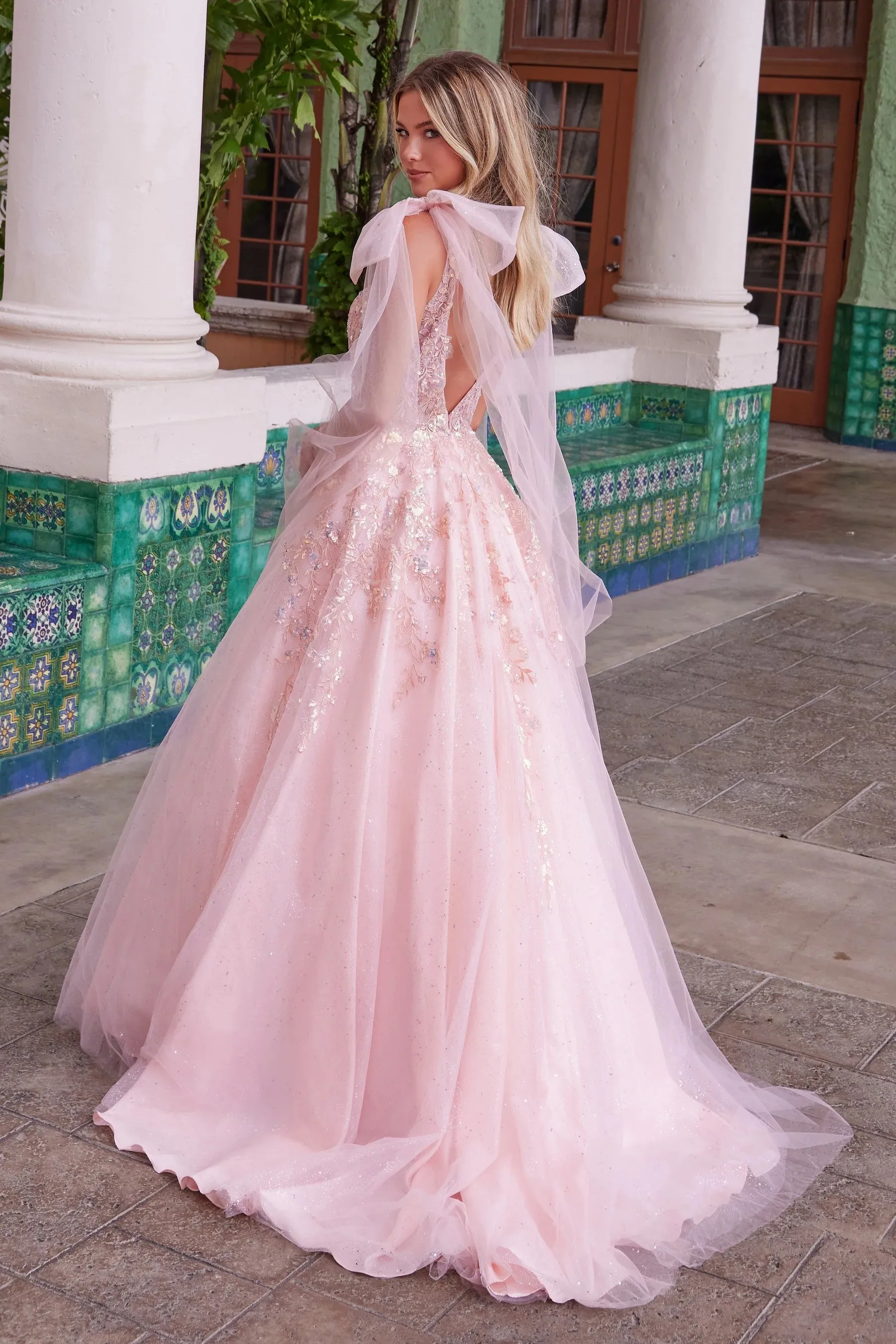 NOX ANABEL H1680 Sheer Boned Waistline Applique Dress sold by The Gown Galleria product image thumbnail 2