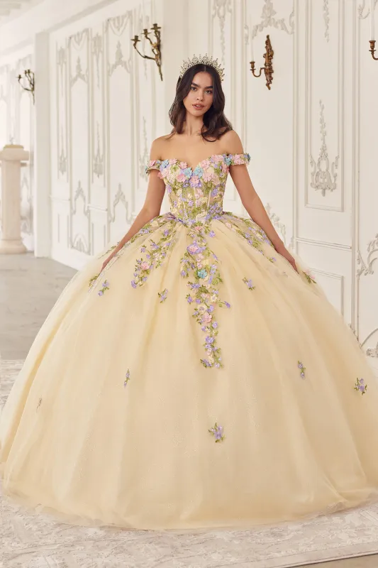 CINDERELLA DIVINE 15724 Multi Colored Floral Ball Gown sold by The Gown Galleria