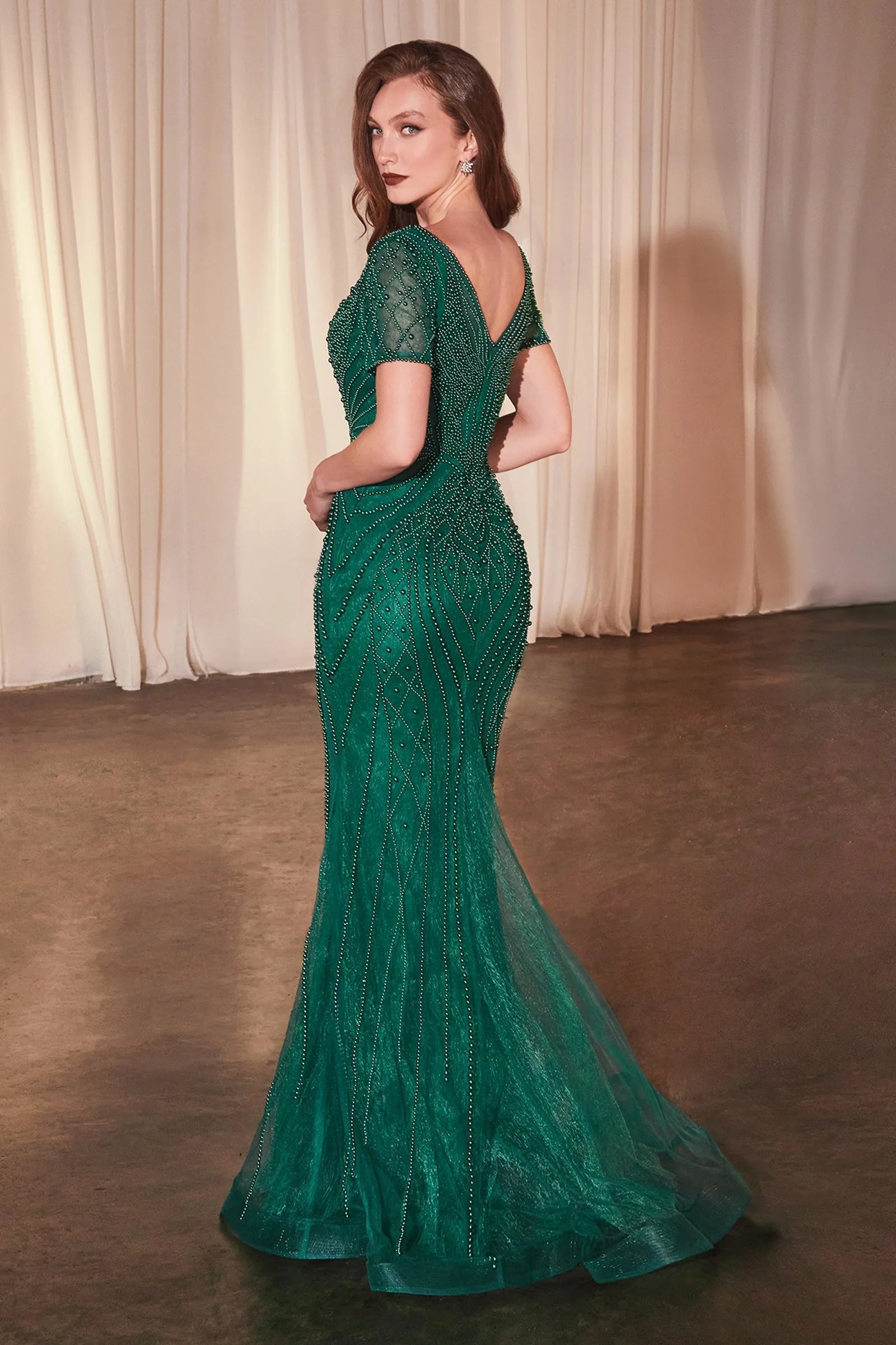 CINDERELLA DIVINE CC4019 Short Sleeve Beaded Fit & Flare Gown sold by The Gown Galleria product image thumbnail 2