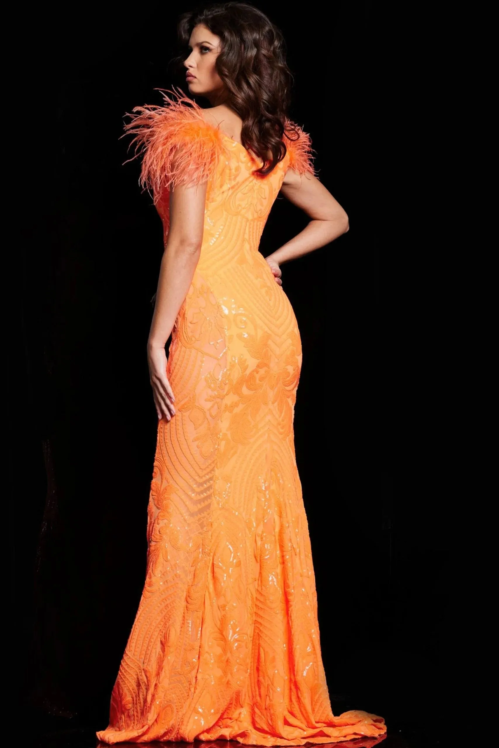 Jovani 26041 Feathered Sleeve Illusion Inset Prom Gown sold by The Gown Galleria product image thumbnail 2