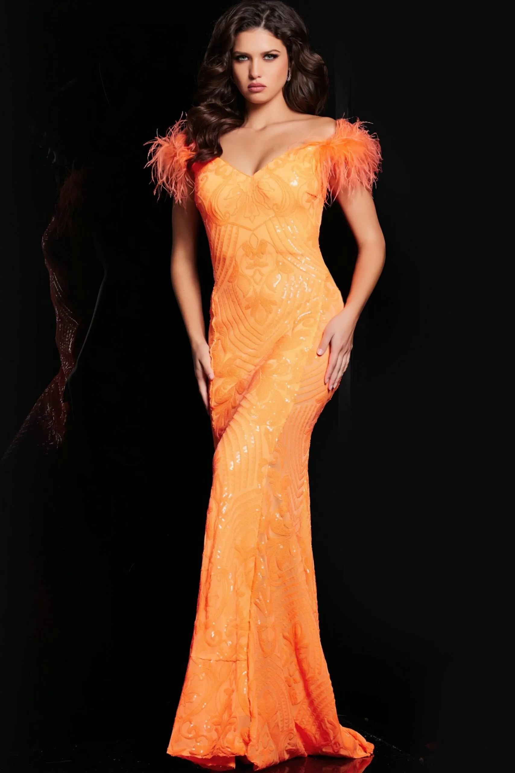 Jovani 26041 Feathered Sleeve Illusion Inset Prom Gown sold by The Gown Galleria