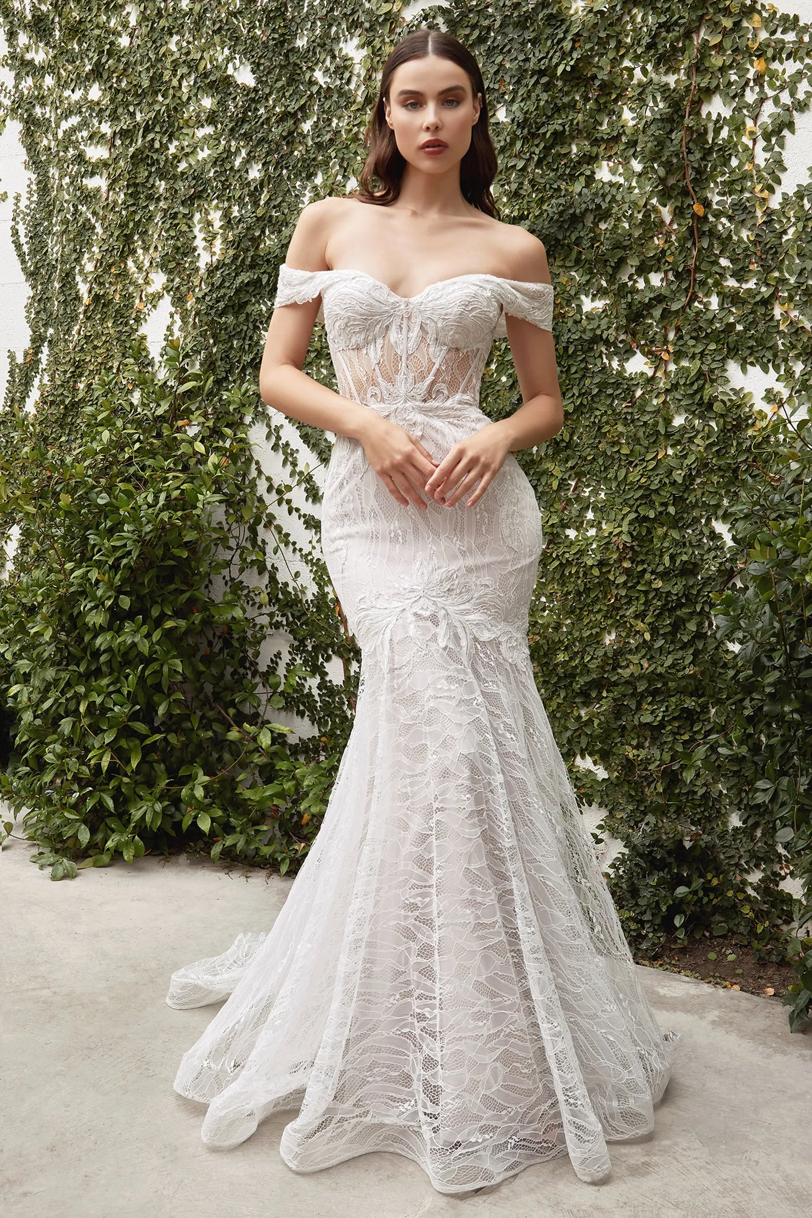 CINDERELLA DIVINE A0666W Lace Off-Shoulder Corset Mermaid Bridal Dress sold by The Gown Galleria product image thumbnail 4