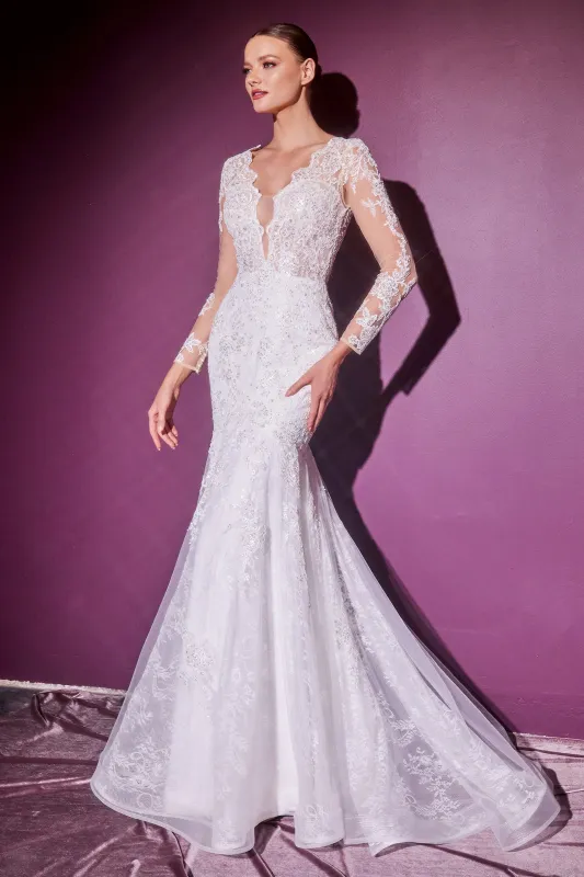 CINDERELLA DIVINE CD951W Sheer Long Sleeve Lace Bridal Gown sold by The Gown Galleria