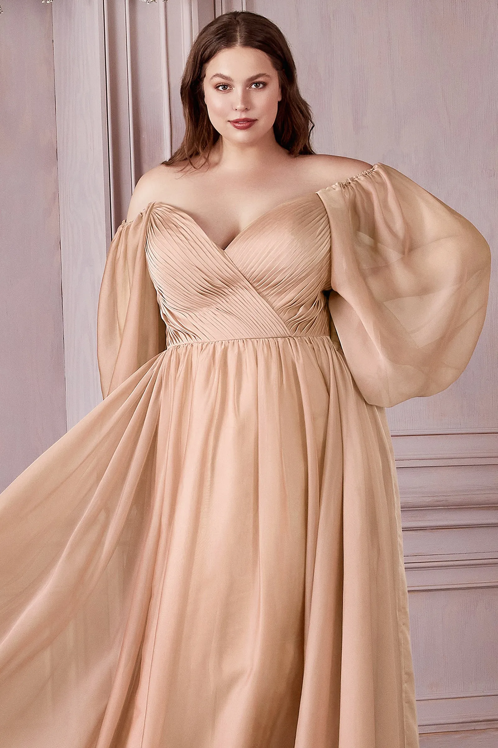 CINDERELLA DIVINE CD243C Plus Size A-Line Long Sleeve Chiffon Gown sold by The Gown Galleria product image thumbnail 4