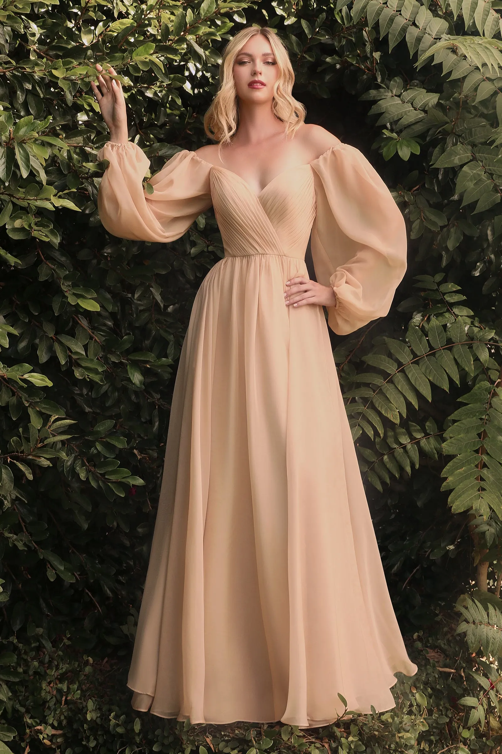 CINDERELLA DIVINE CD243 A-Line Long Sleeve Chiffon Gown sold by The Gown Galleria product image thumbnail 5