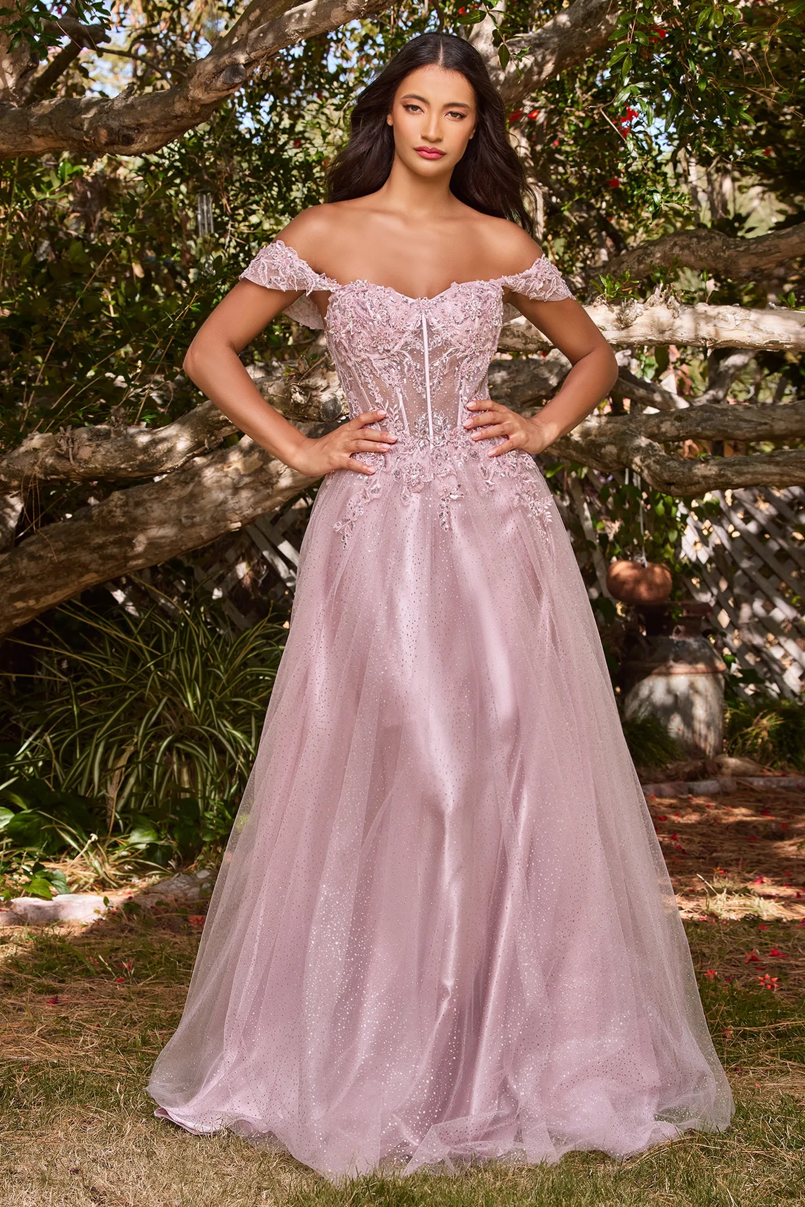 CINDERELLA DIVINE CD0198 A-Line Off-Shoulder Tulle Gown sold by The Gown Galleria product image thumbnail 5