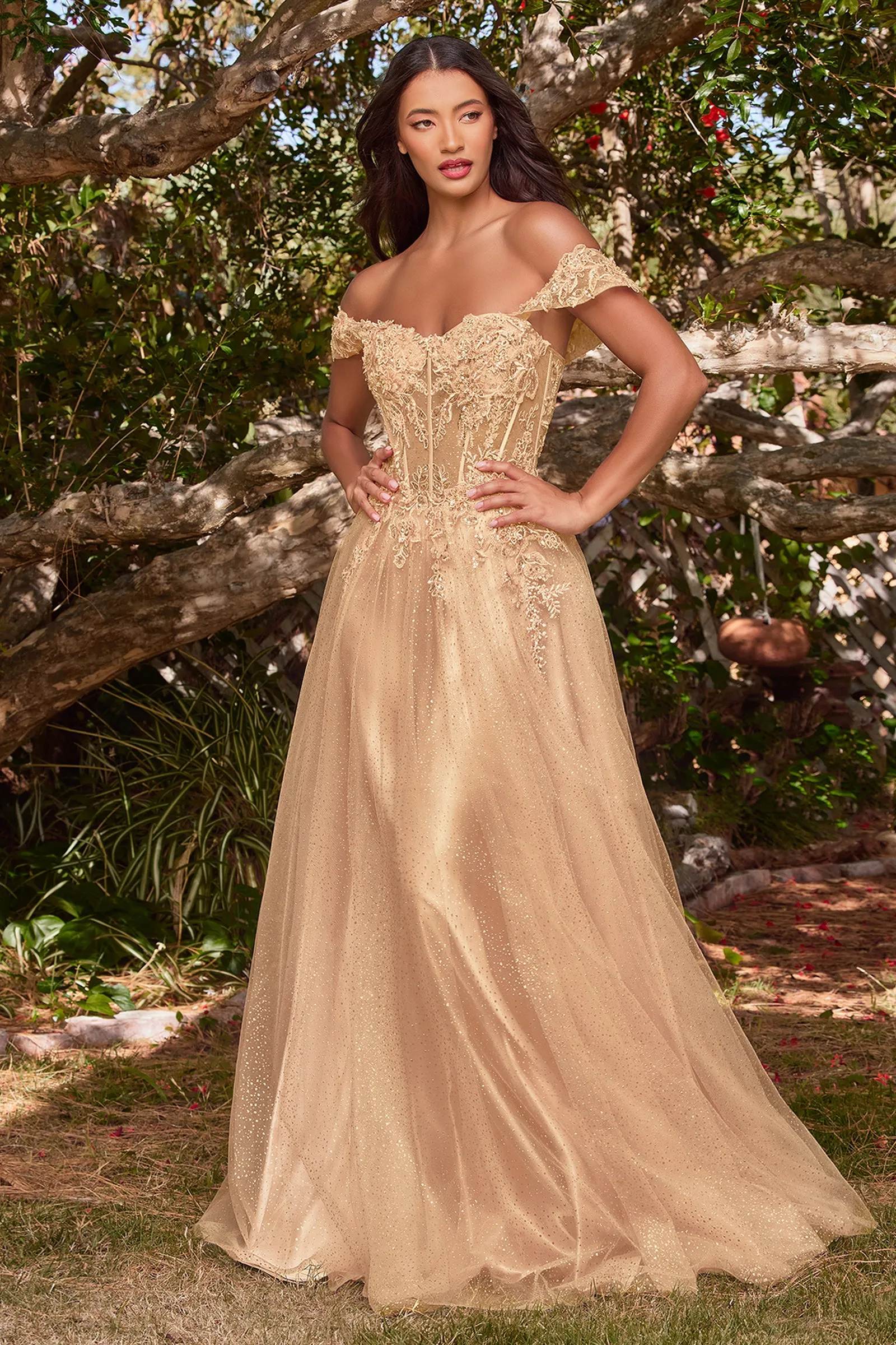 CINDERELLA DIVINE CD0198 A-Line Off-Shoulder Tulle Gown sold by The Gown Galleria product image thumbnail 4