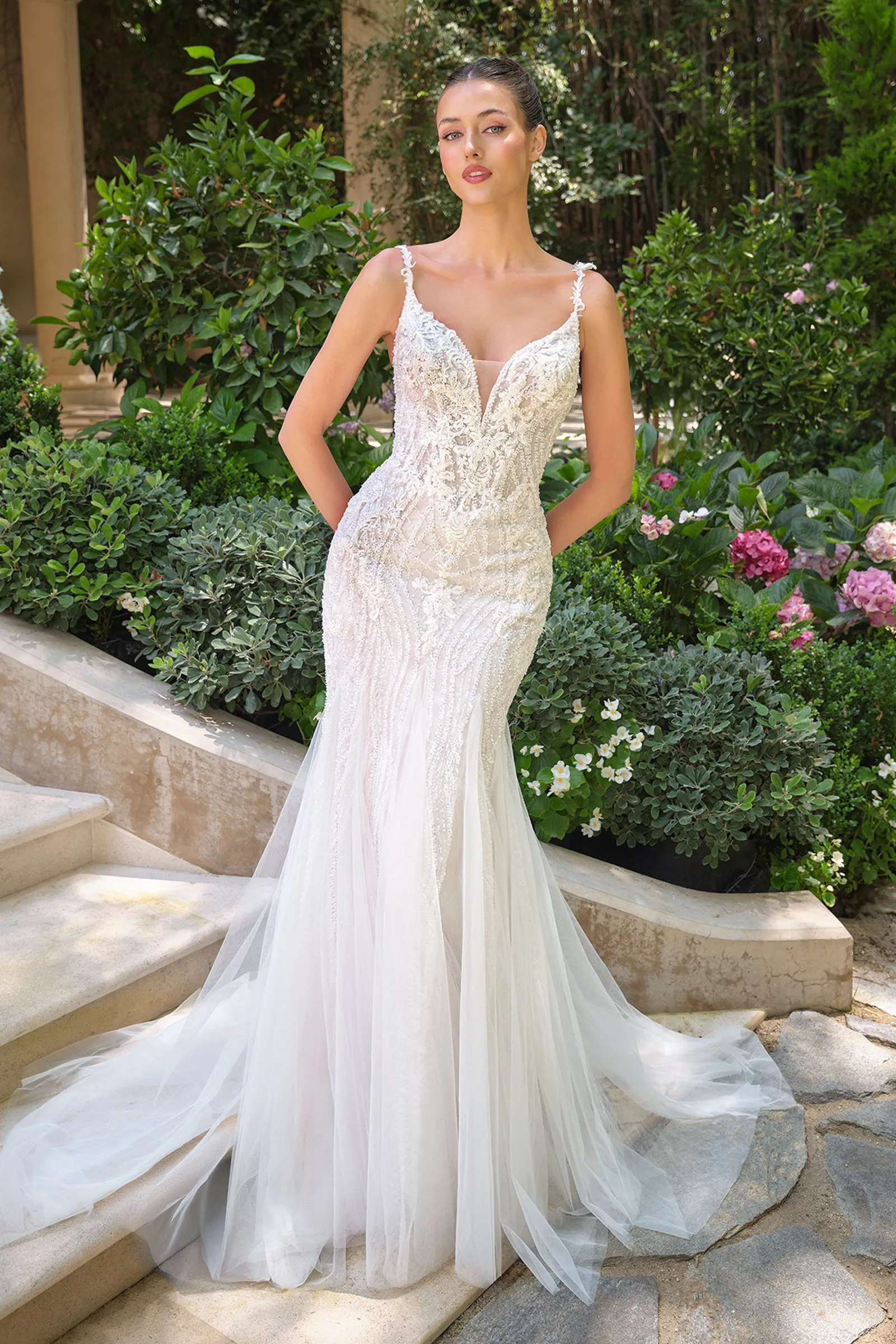 Andrea & Leo WL066 Evening Gown with Deep Illusion Neckline sold by The Gown Galleria product image thumbnail 3
