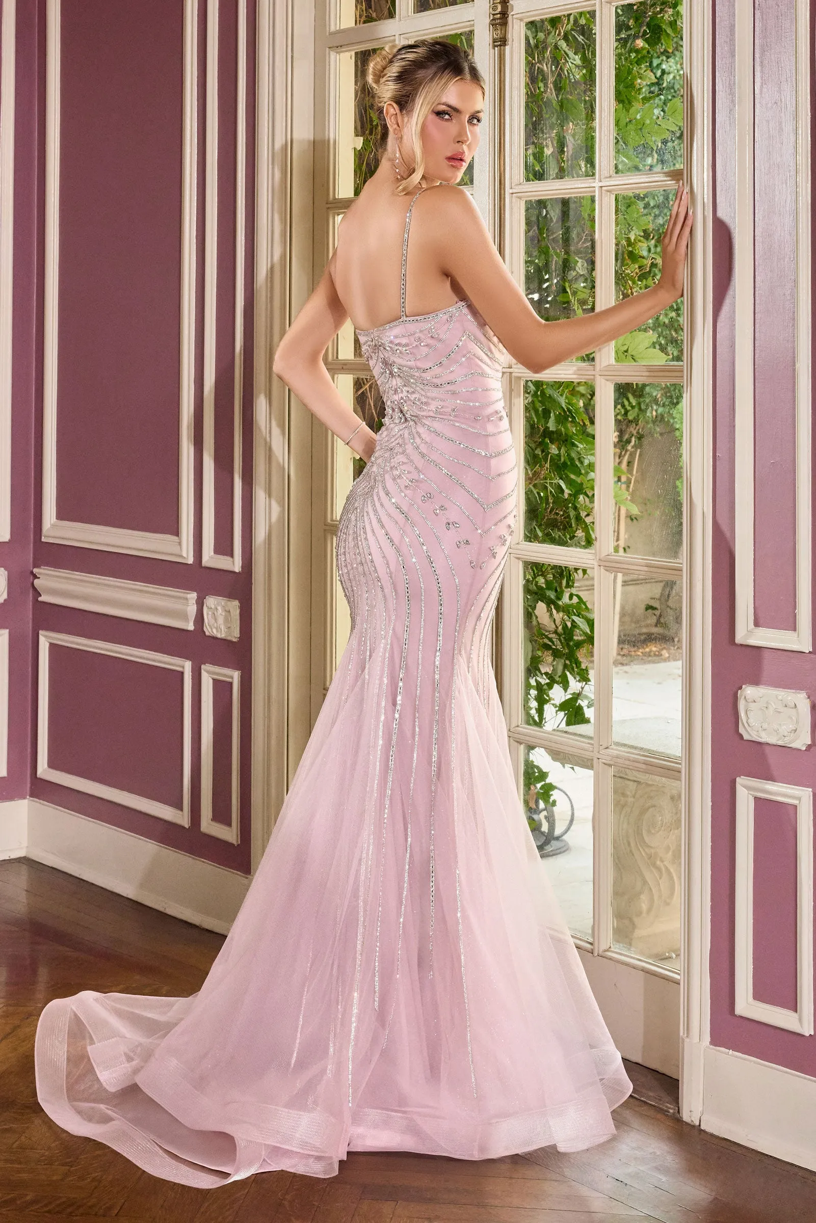 Cinderella Divine CB167 Evening Gown Fitted Silhouette sold by The Gown Galleria product image thumbnail 2