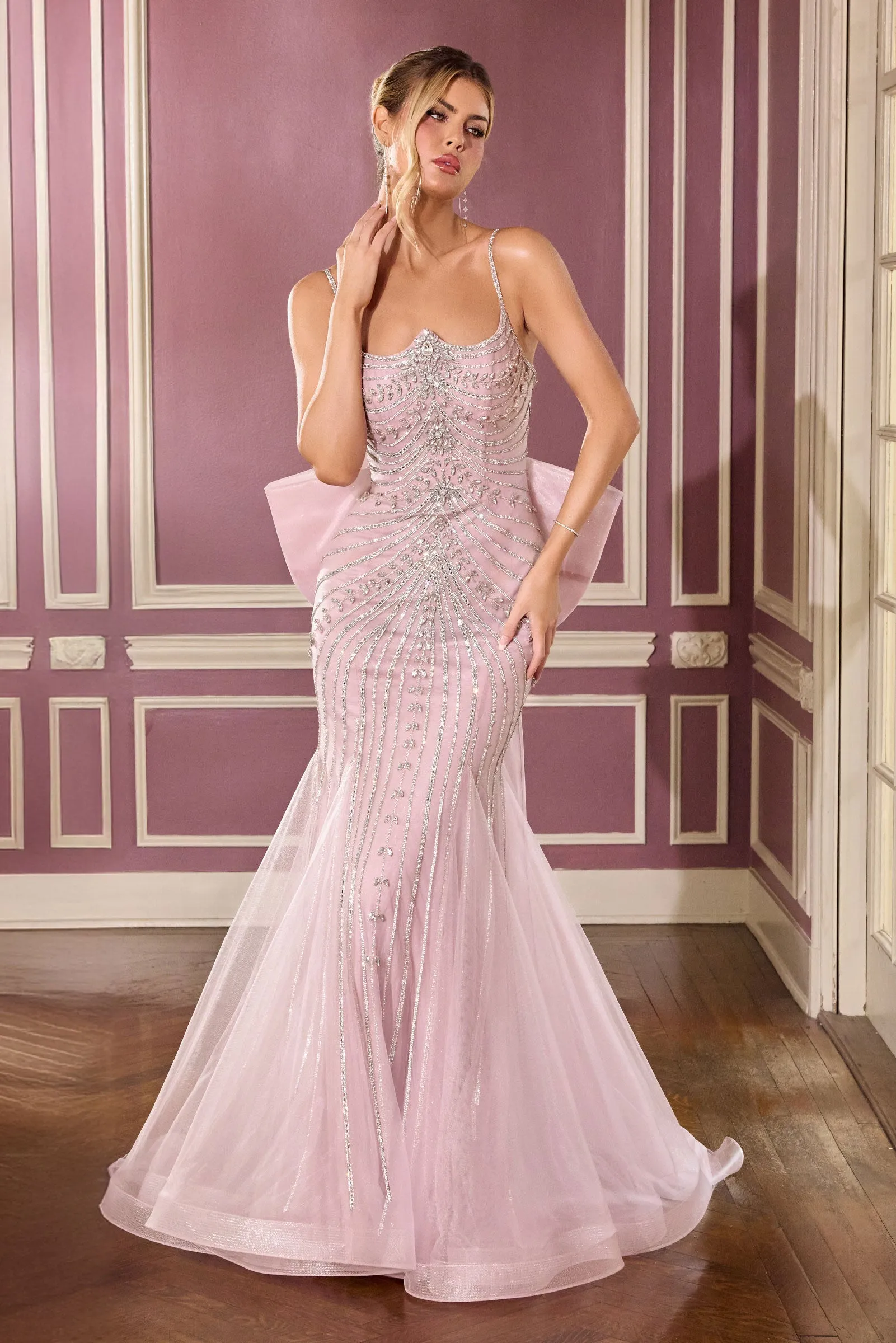 Cinderella Divine CB167 Evening Gown Fitted Silhouette sold by The Gown Galleria product image thumbnail 5
