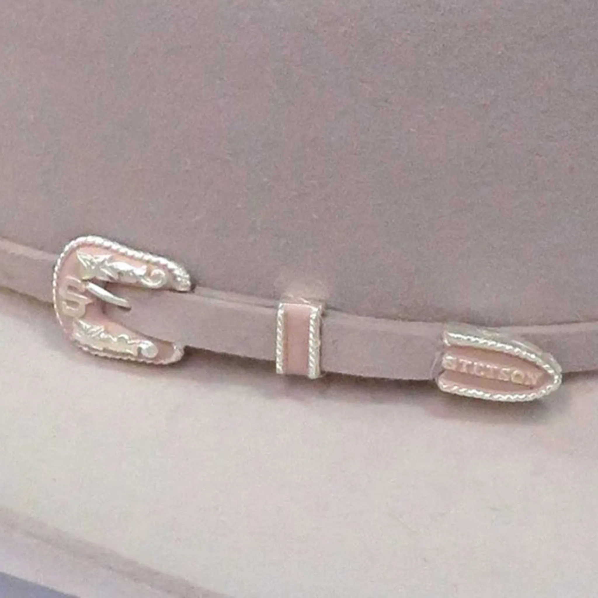 Stetson Men's 6X Silverbelly Skyline Hat sold by Western Edge product image thumbnail 3