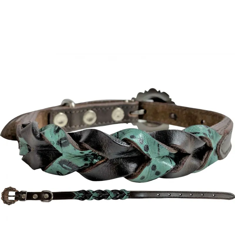 Showman Teal and Dark Oil Dog Collar sold by Western Edge