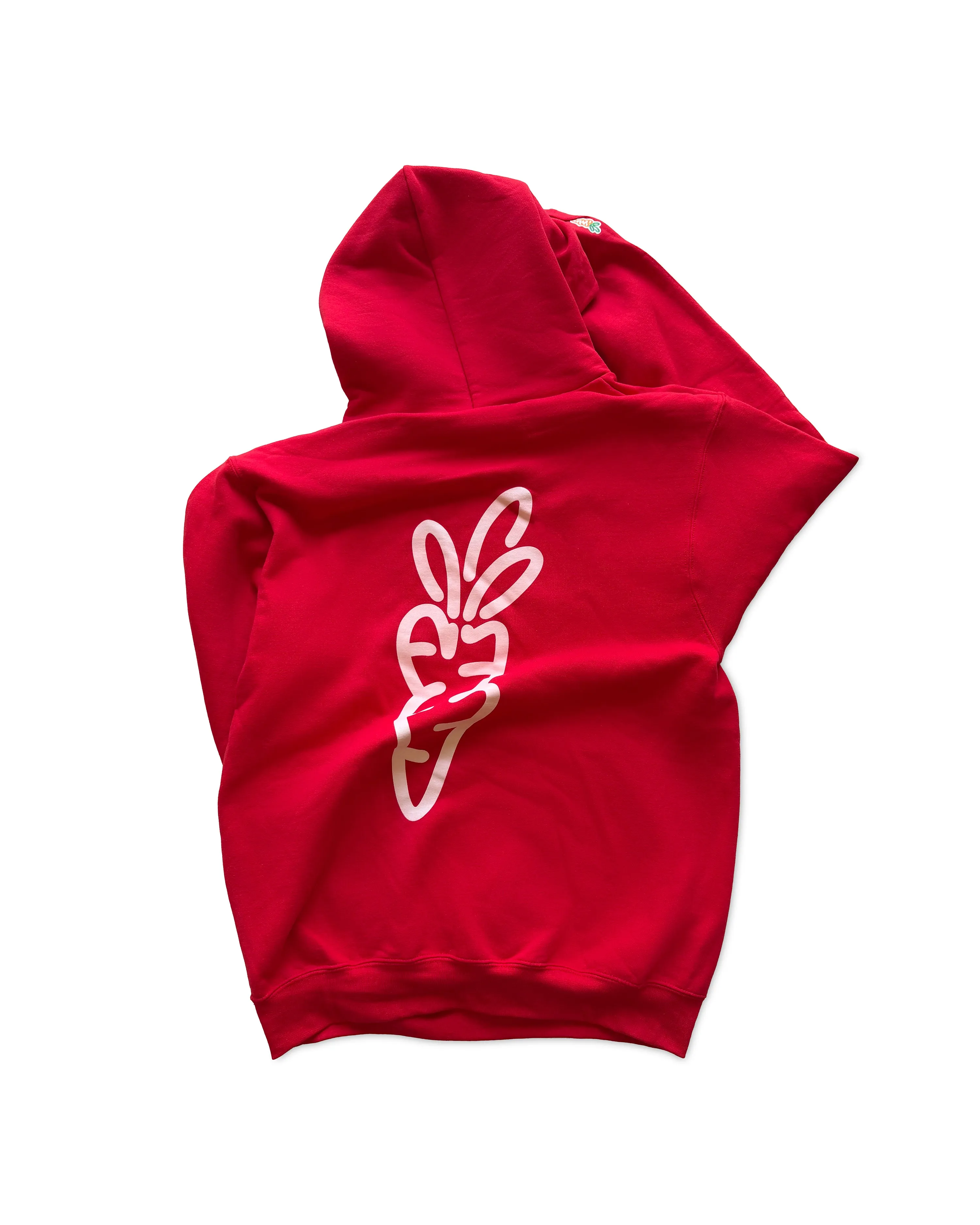 Wordmark Champion Hoodie - Red sold by Anwar Carrots product image thumbnail 2