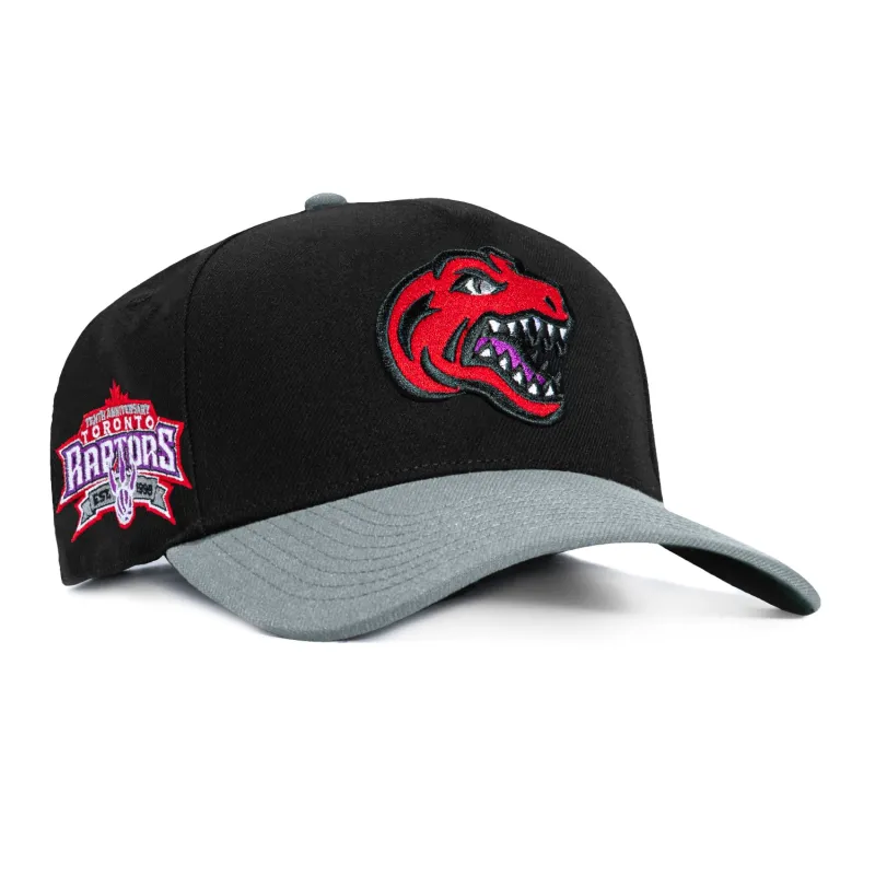 Mitchell & Ness Toronto Raptors 10th Anniversary Patch Snapback Hat - Black, Grey made by Mitchell & Ness