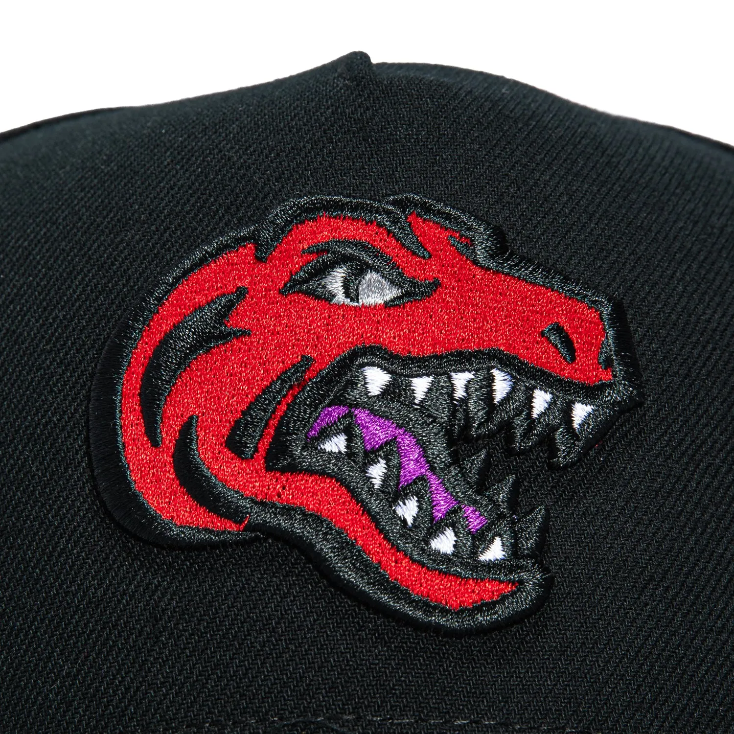 Mitchell & Ness Toronto Raptors 10th Anniversary Patch Snapback Hat - Black, Grey sold by Hat Club product image thumbnail 3