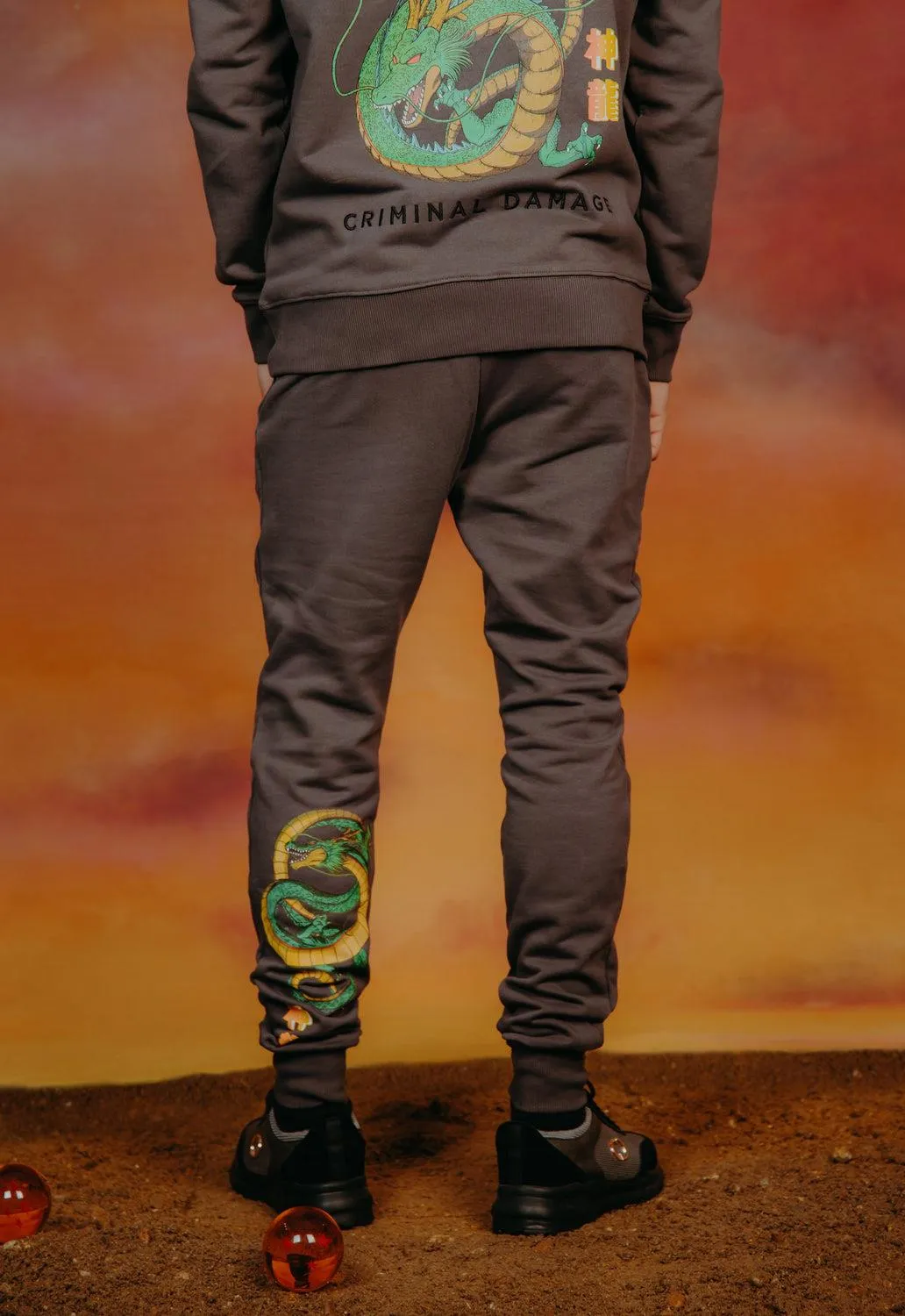Shenron Joggers sold by Damaged Society product image thumbnail 3