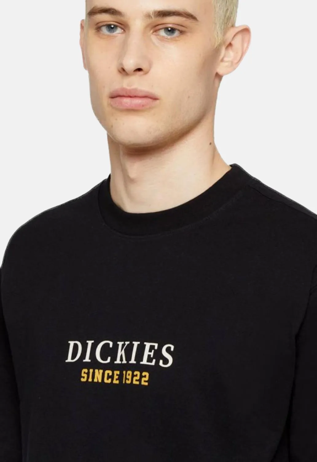 Park T-Shirt sold by Damaged Society product image thumbnail 2