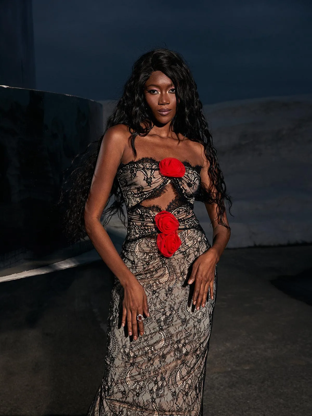 Phoenix Flower Lace Midi Dress sold by Mew Mews product image thumbnail 3