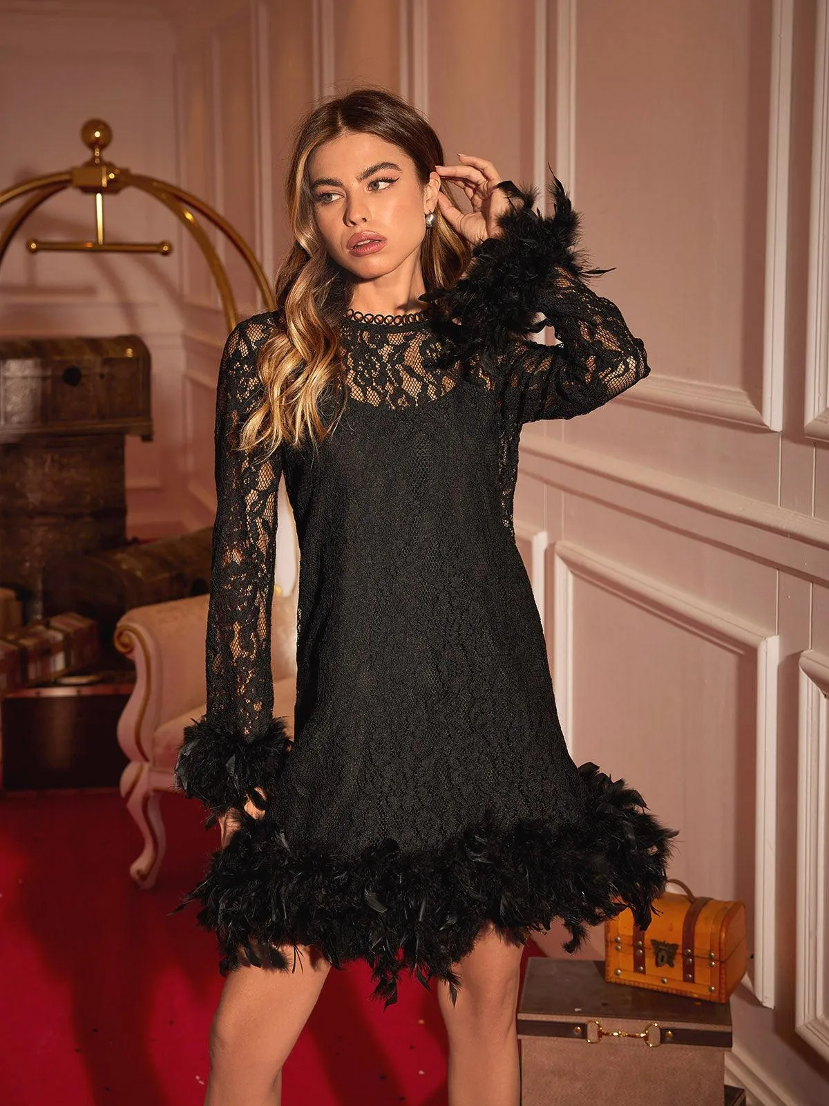 Ulysses Feather Trimmed Lace Dress sold by Mew Mews product image thumbnail 3