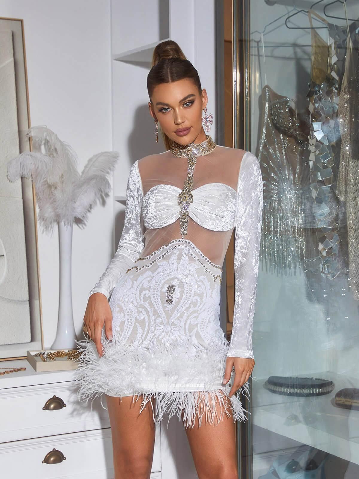 Eliza Long Sleeve Embellished Feather Mini Dress sold by Mew Mews product image thumbnail 4