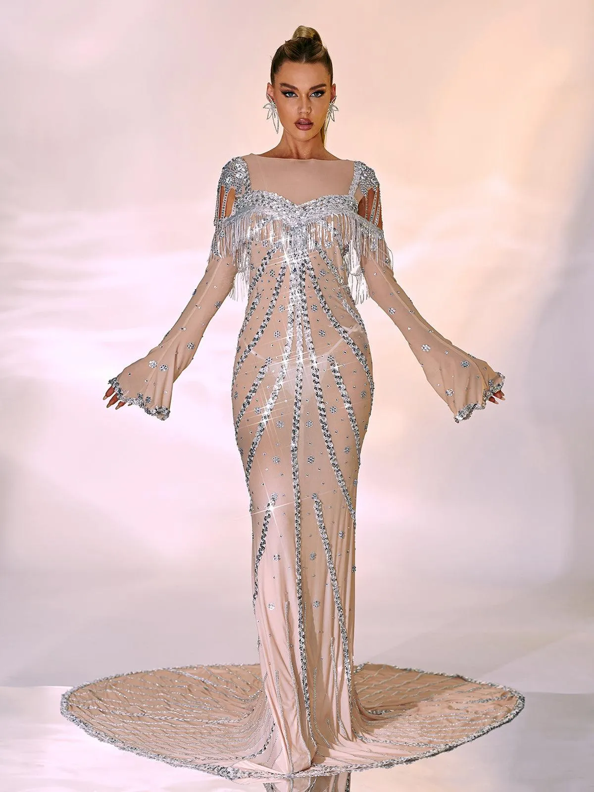 Reagan Long Sleeve Sequin Mesh Maxi Dress sold by Mew Mews product image thumbnail 4