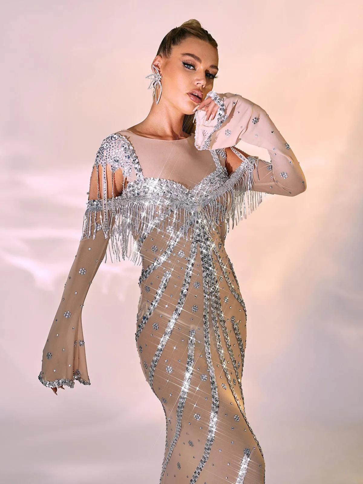 Reagan Long Sleeve Sequin Mesh Maxi Dress sold by Mew Mews product image thumbnail 3