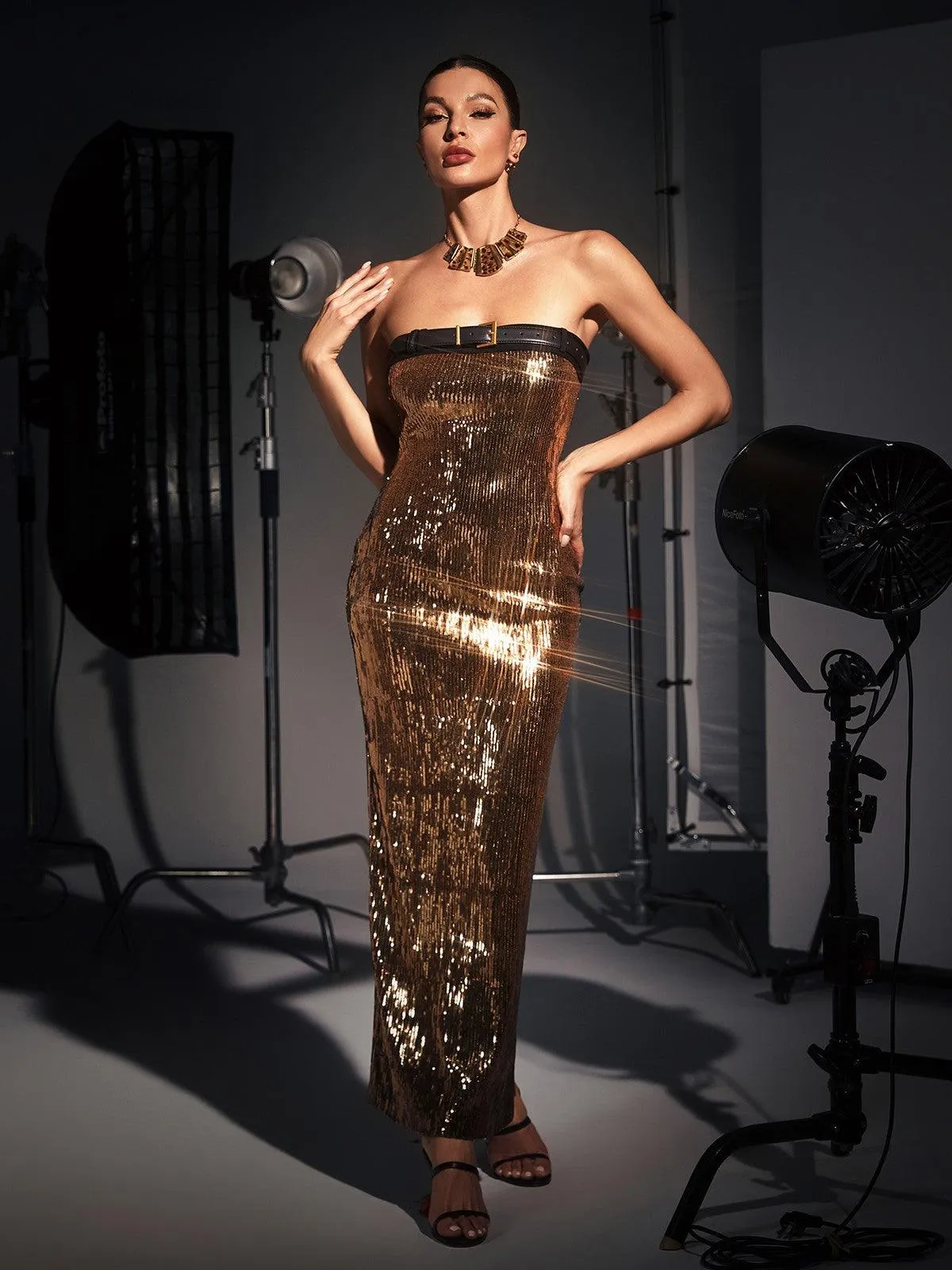 Triana Strapless Belted Glitter Sequin Dress sold by Mew Mews