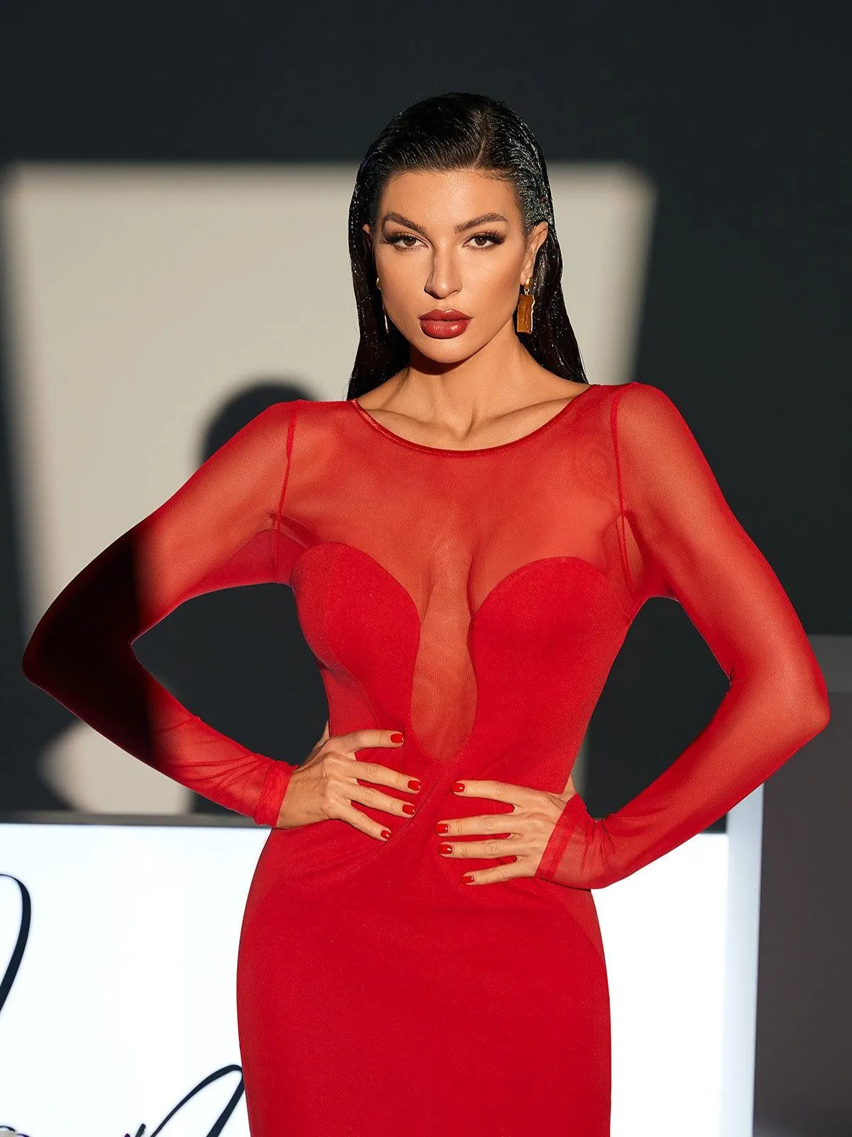 Hale Long Sleeve Mesh Midi Dress In Red sold by Mew Mews product image thumbnail 3