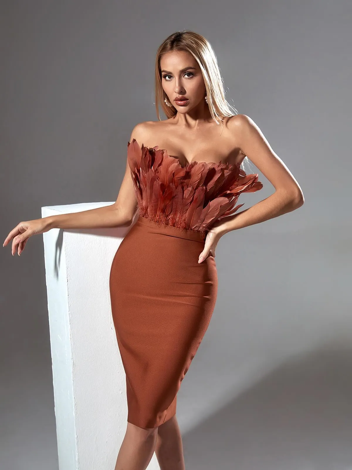 Darby Strapless Feather Bandage Dress In Brown sold by Mew Mews product image thumbnail 3