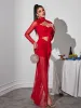 Bedelia Long Sleeve Cutout Mesh Maxi Dress sold by Mew Mews