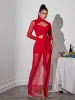 Bedelia Long Sleeve Cutout Mesh Maxi Dress sold by Mew Mews