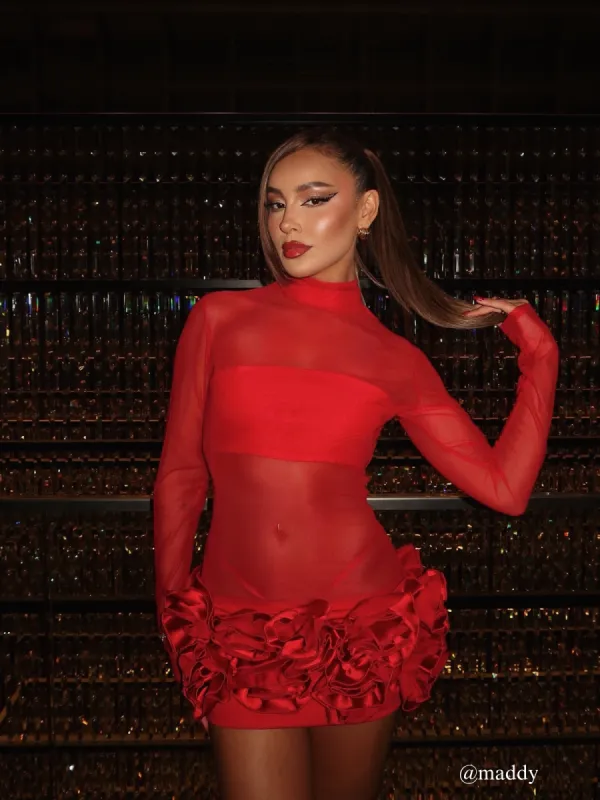 Nairi Long Sleeve Flower Mesh Mini Dress sold by Mew Mews