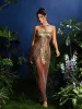 Ramesh Metal Fringe Body Chain Dress sold by Mew Mews