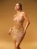 Sylvan Crystal Chain Fringe Mini Dress In Gold sold by Mew Mews