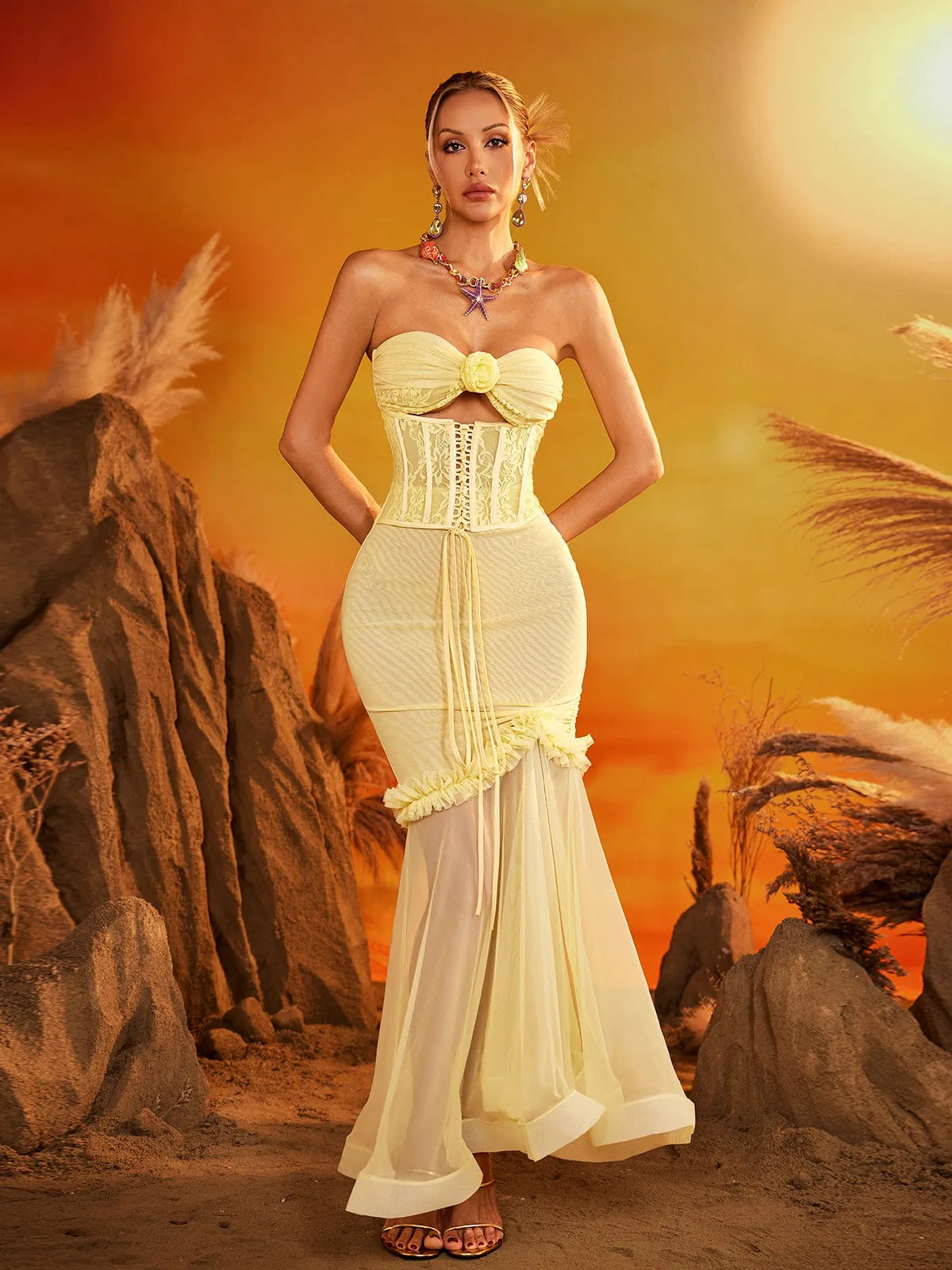 Ezrion Strapless Lace Up Mesh Maxi Dress sold by Mew Mews product image thumbnail 3