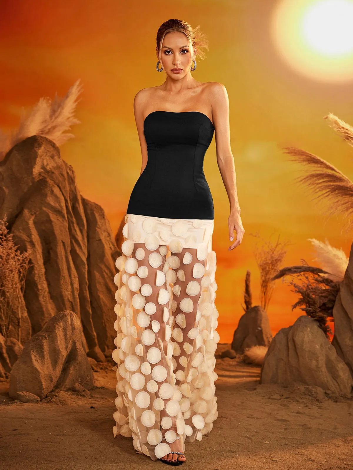 Gaelith Strapless Mesh Maxi Dress sold by Mew Mews