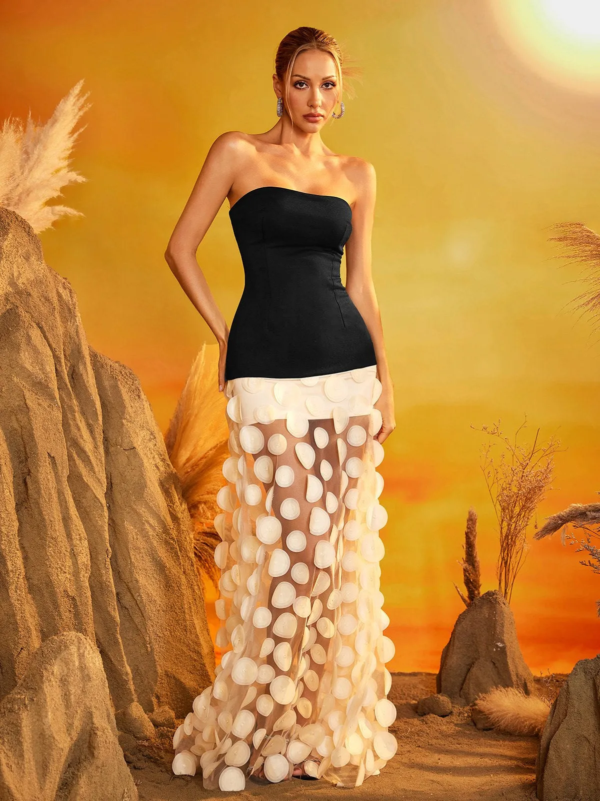 Gaelith Strapless Mesh Maxi Dress sold by Mew Mews product image thumbnail 3