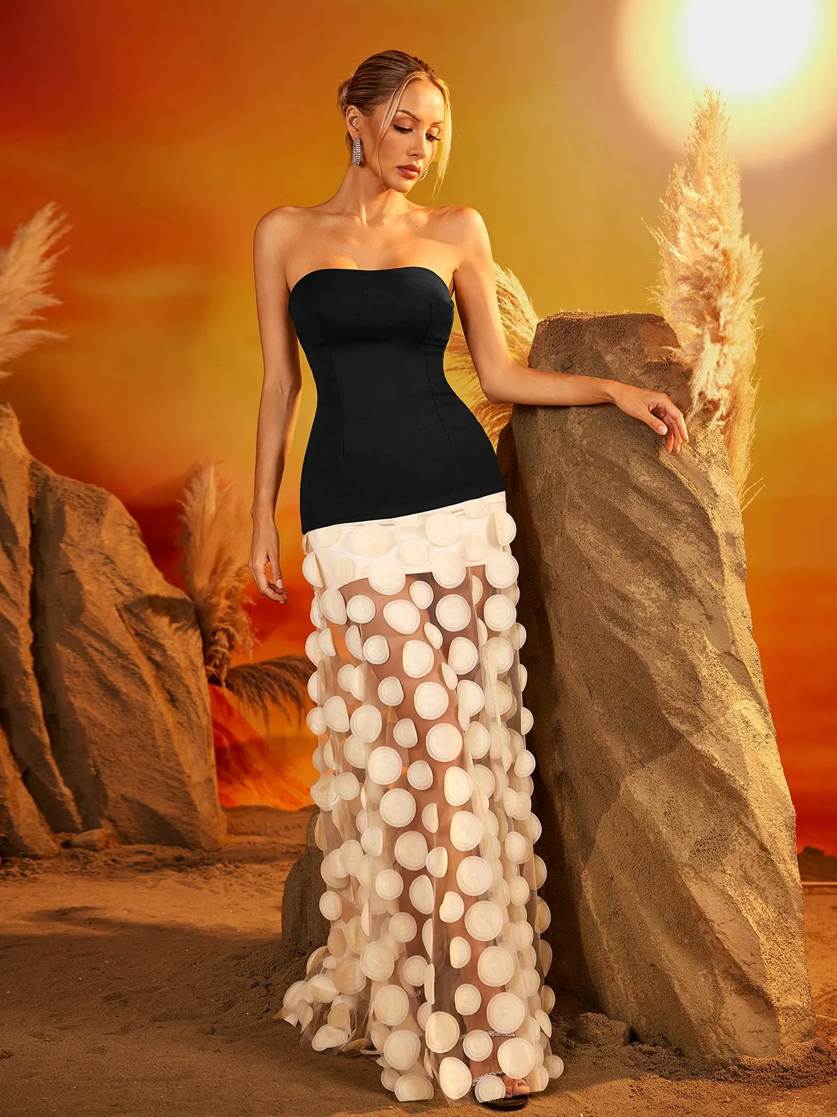 Gaelith Strapless Mesh Maxi Dress sold by Mew Mews product image thumbnail 5