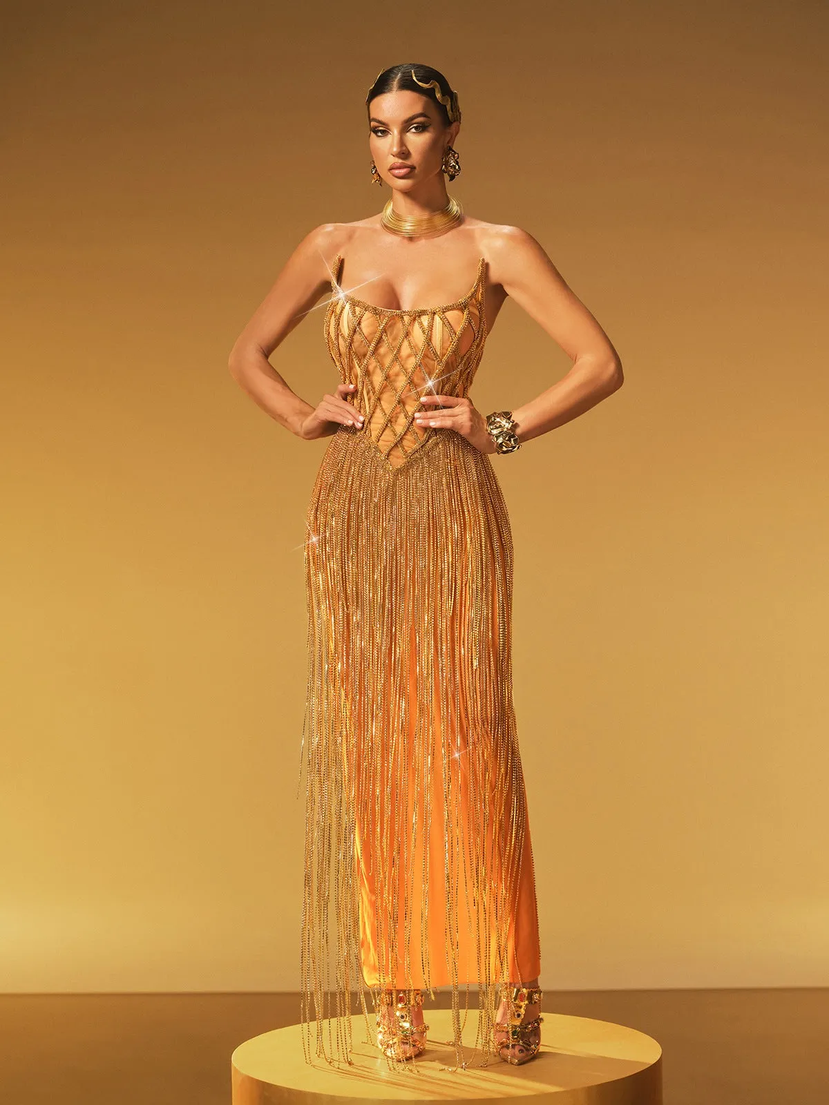 Jyrviel Strapless Chain Fringe Mesh Maxi Dress sold by Mew Mews product image thumbnail 4