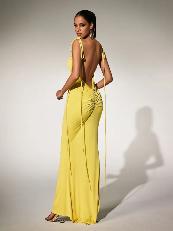 Paratyl Backless Maxi Dress sold by Mew Mews