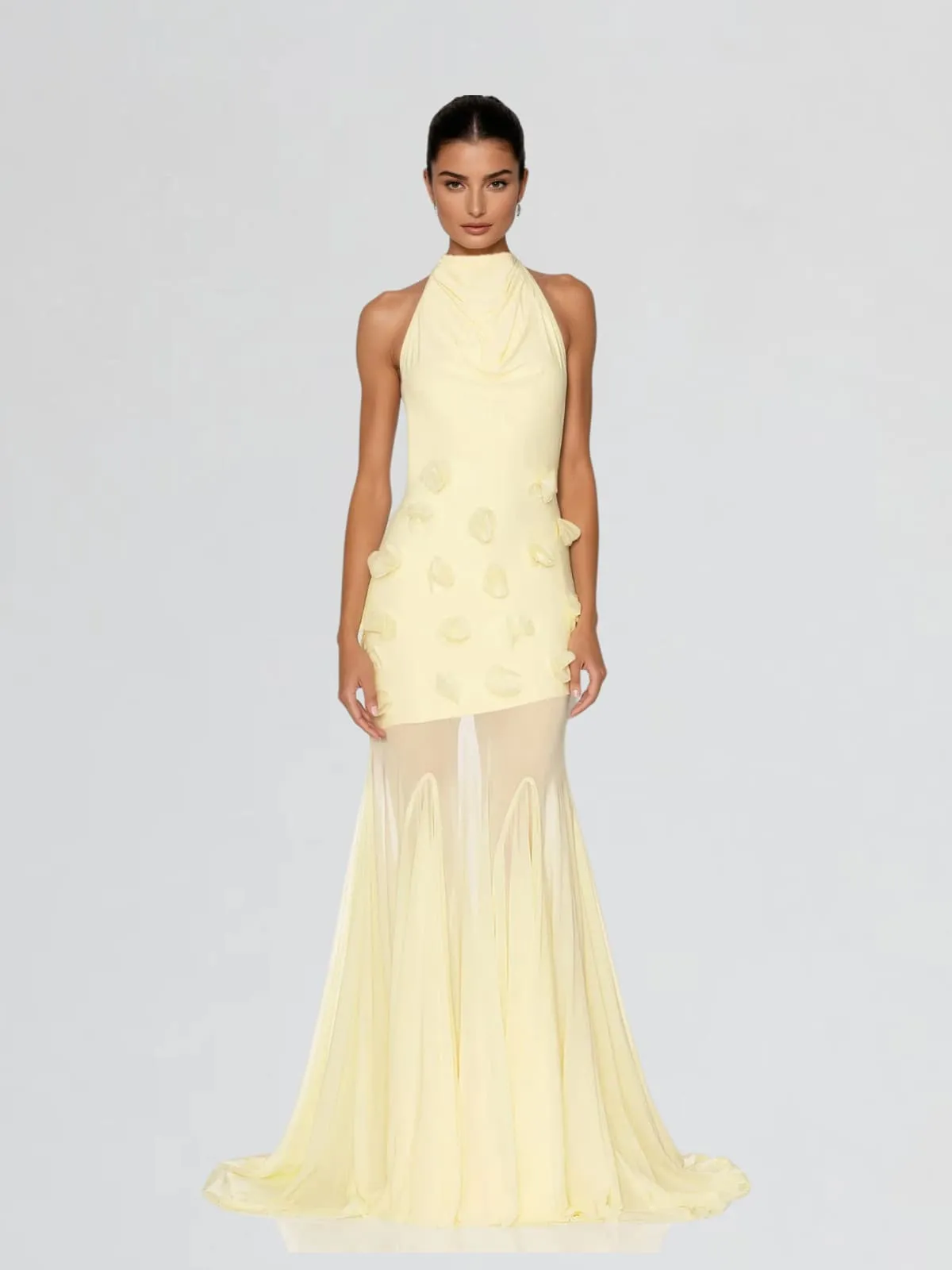 Taerix High Neck Mesh Flower Maxi Dress sold by Mew Mews