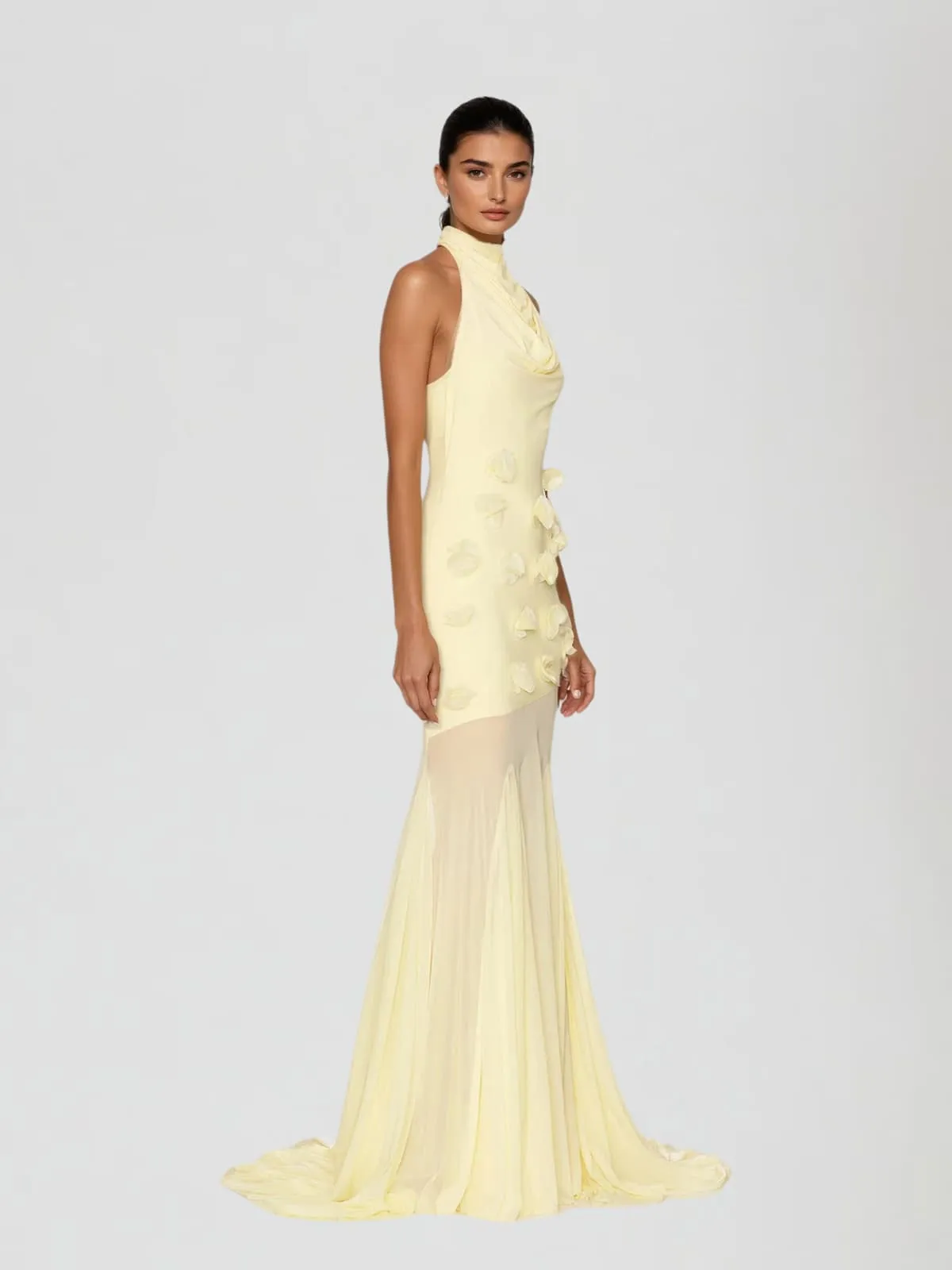 Taerix High Neck Mesh Flower Maxi Dress sold by Mew Mews product image thumbnail 2