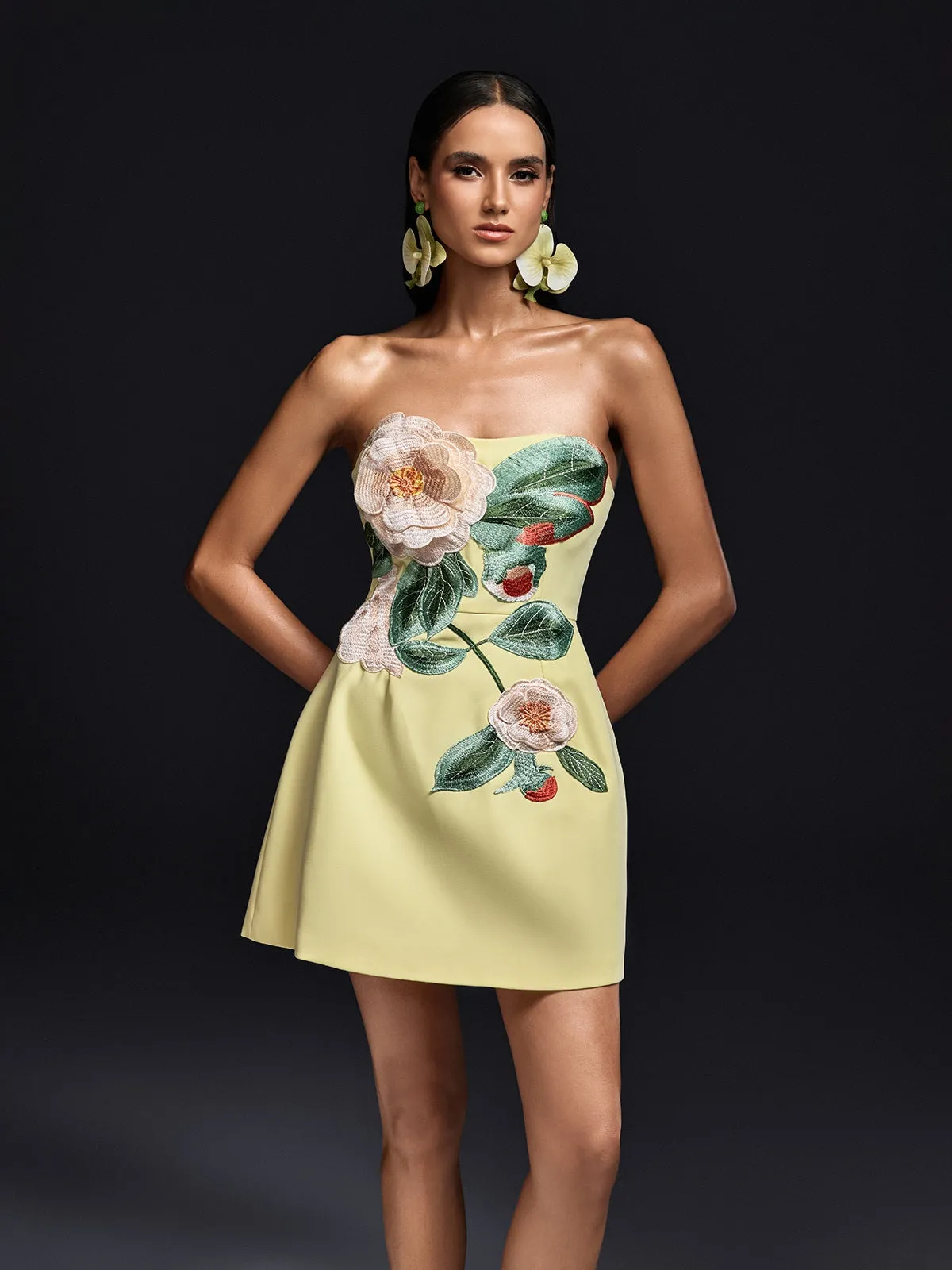 Olaniyi Strapless Flower Embroidered Mini Dress sold by Mew Mews product image thumbnail 4