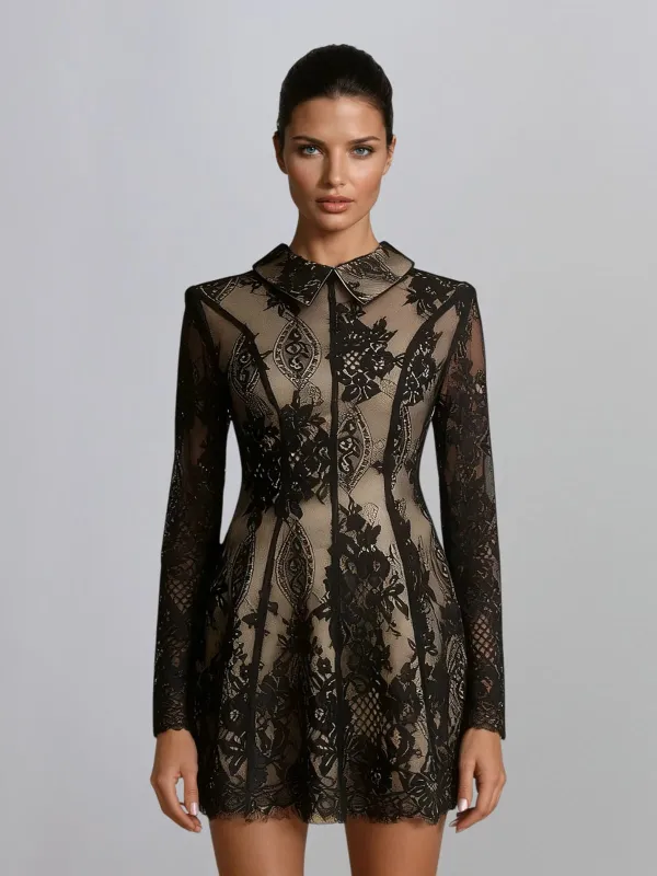 Dyriel Long Sleeve Lace Mini Dress sold by Mew Mews