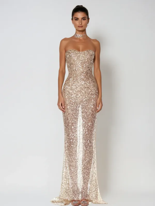 Telnar Strapless Sequin Maxi Dress sold by Mew Mews