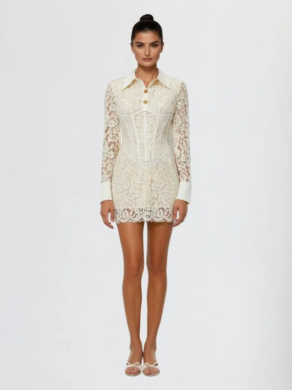 Laxorin Embroidered Lace Mini Dress sold by Mew Mews