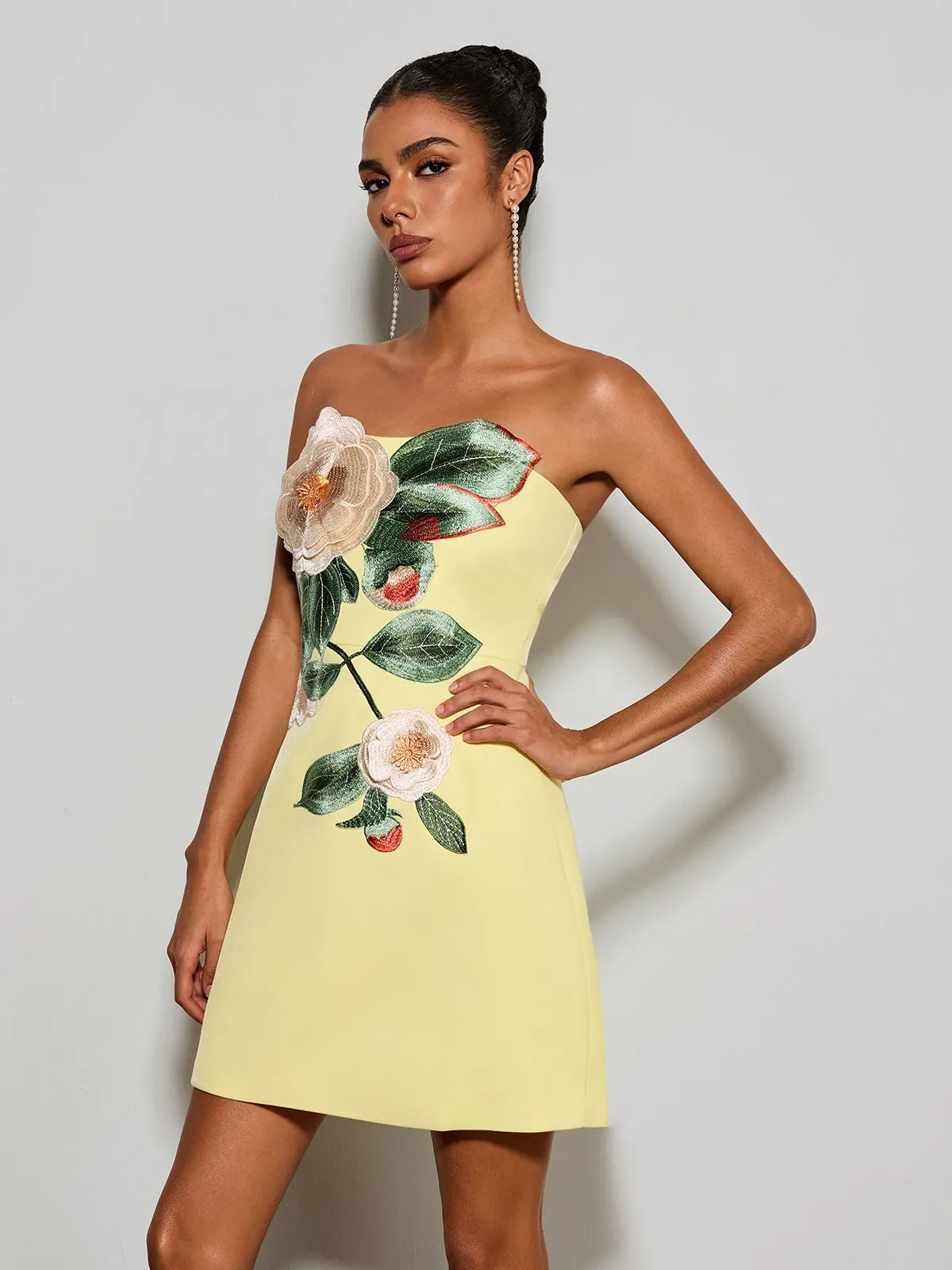 Olaniyi Strapless Flower Embroidered Mini Dress sold by Mew Mews product image thumbnail 2
