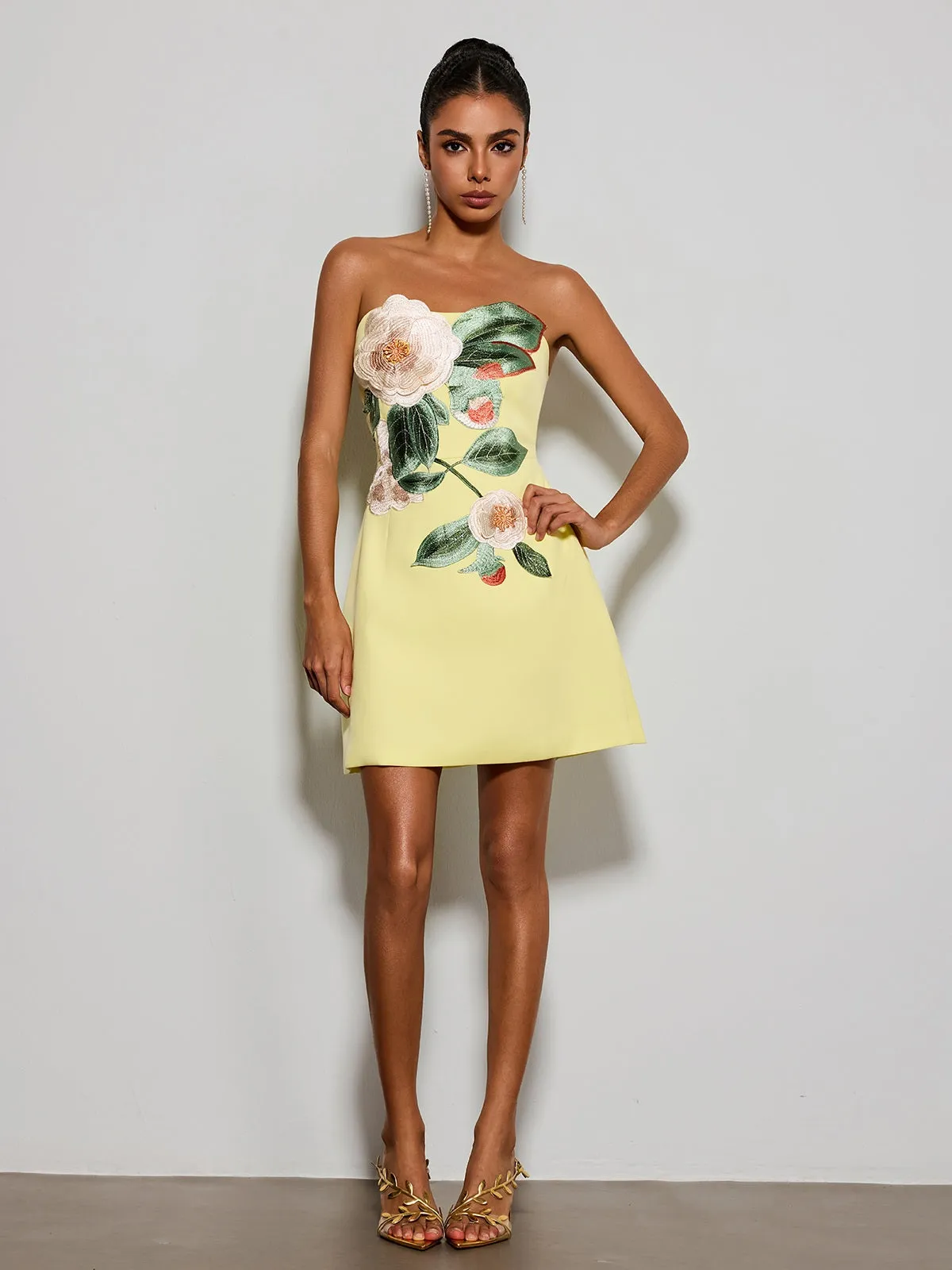 Olaniyi Strapless Flower Embroidered Mini Dress sold by Mew Mews product image thumbnail 3