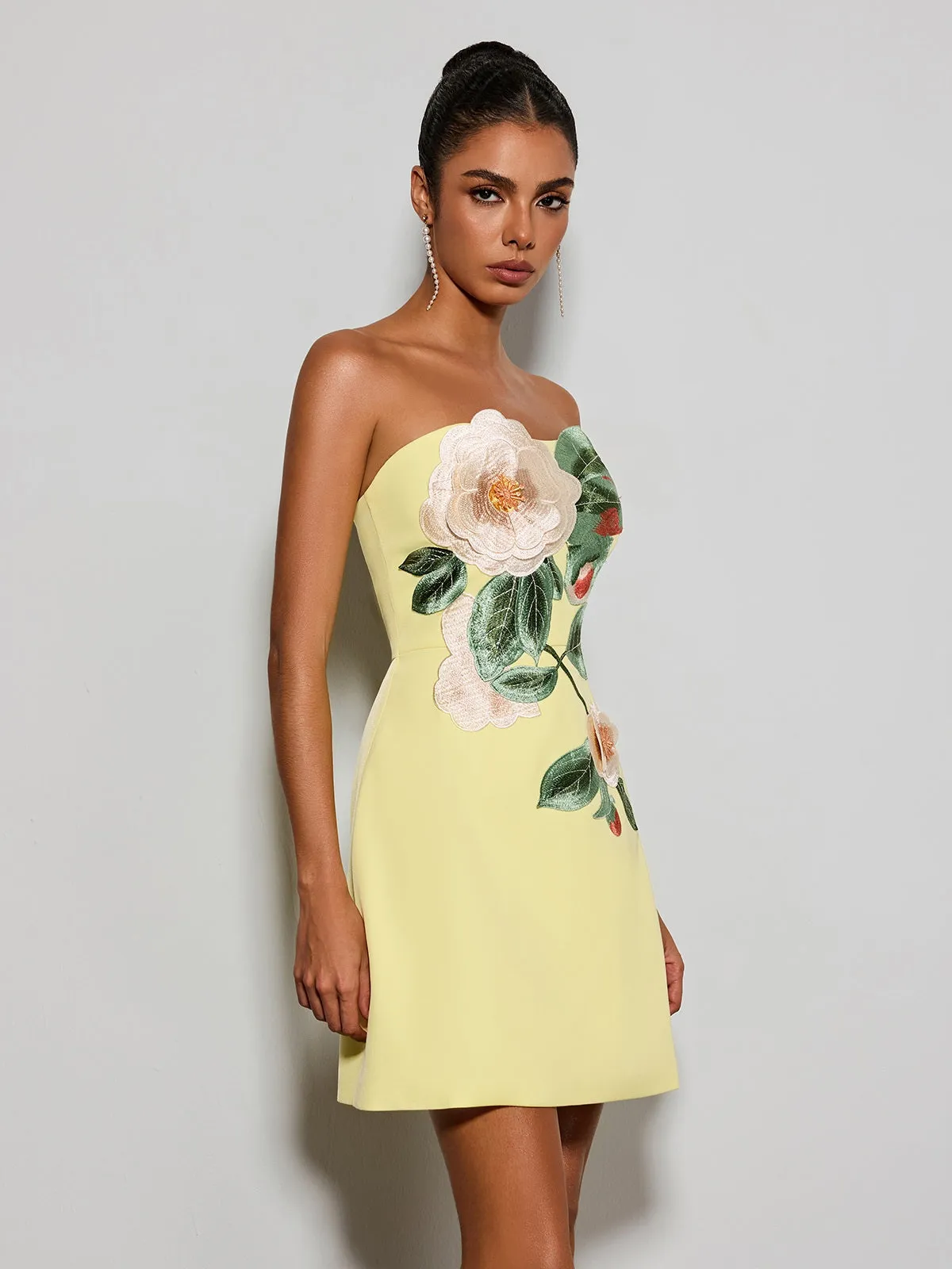 Olaniyi Strapless Flower Embroidered Mini Dress sold by Mew Mews product image thumbnail 5