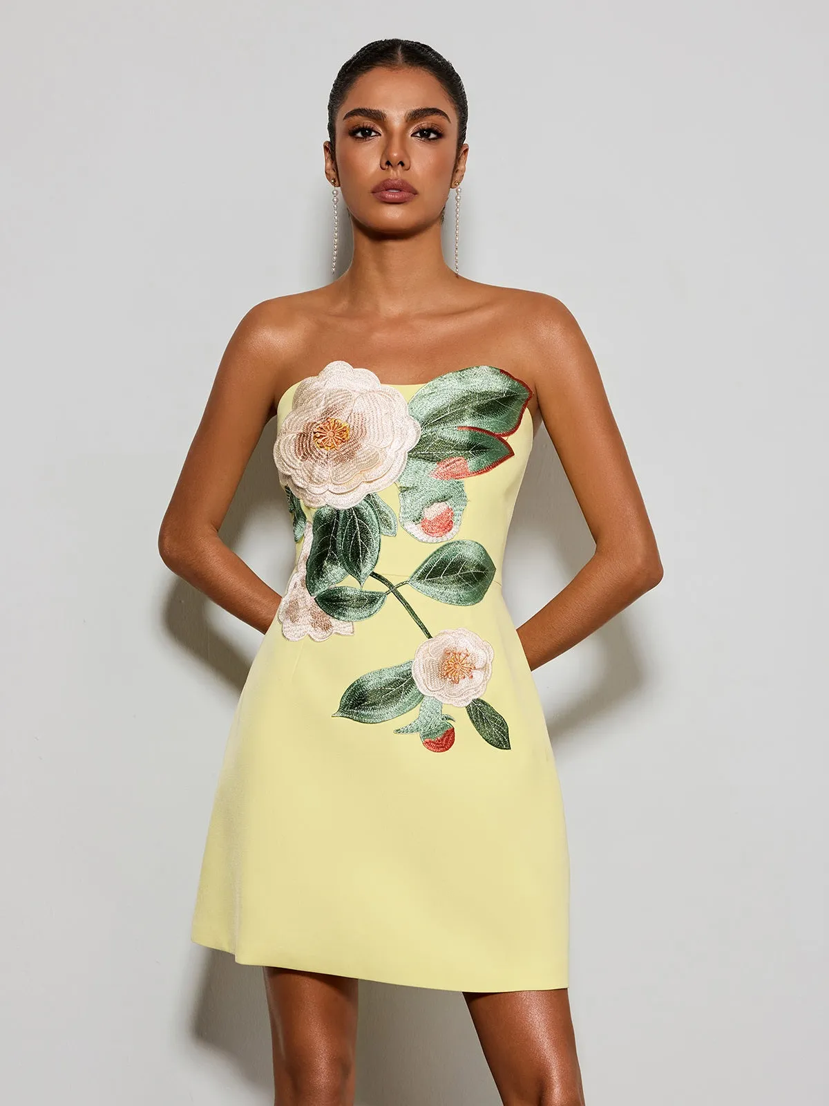 Olaniyi Strapless Flower Embroidered Mini Dress sold by Mew Mews product image thumbnail 4